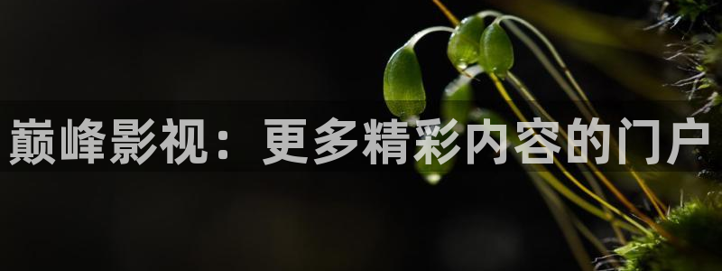 霸影伦理影院