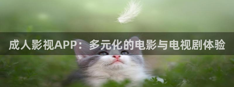 神马伦理影院：成人影视APP：多元化的电影与电视剧体验