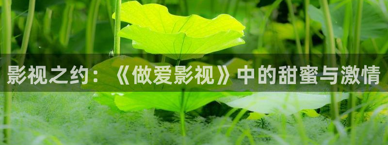 免费在线观看伦理影院：影视之约：《做爱影视》中的甜蜜与激情