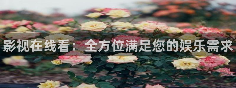 欧美伦理影院大全：影视在线看：全方位满足您的娱乐需求