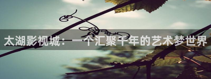 hd伦理影片：太湖影视城：一个汇聚千年的艺术梦世界