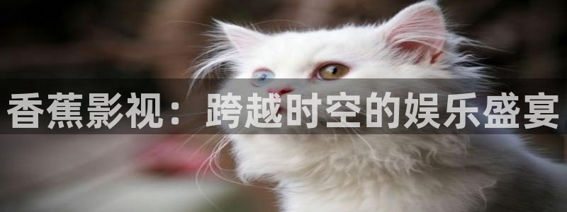伦费伦理影院：香蕉影视：跨越时空的娱乐盛宴