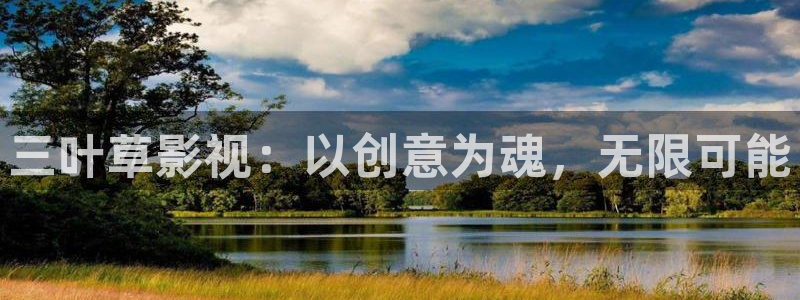 免费观看伦理视频：三叶草影视：以创意为魂，无限可能