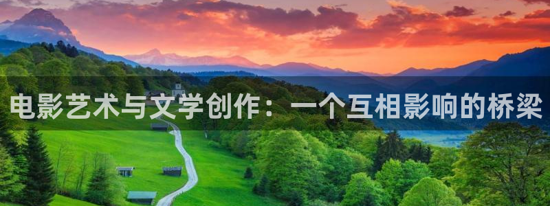 511伦理视频在线观看：电影艺术与文学创作：一个互相影响的桥梁