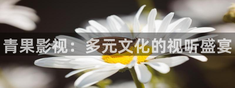 酒色伦理影院：青果影视：多元文化的视听盛宴
