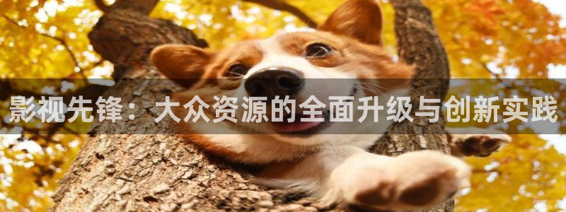 秋霞在线伦理影院：影视先锋：大众资源的全面升级与创新实践